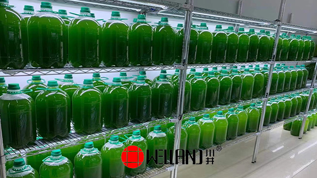 川井牌實(shí)驗(yàn)室植物組培架，生物養(yǎng)殖架，小蝌蚪養(yǎng)育貨架——助力科研，提升孵化率！