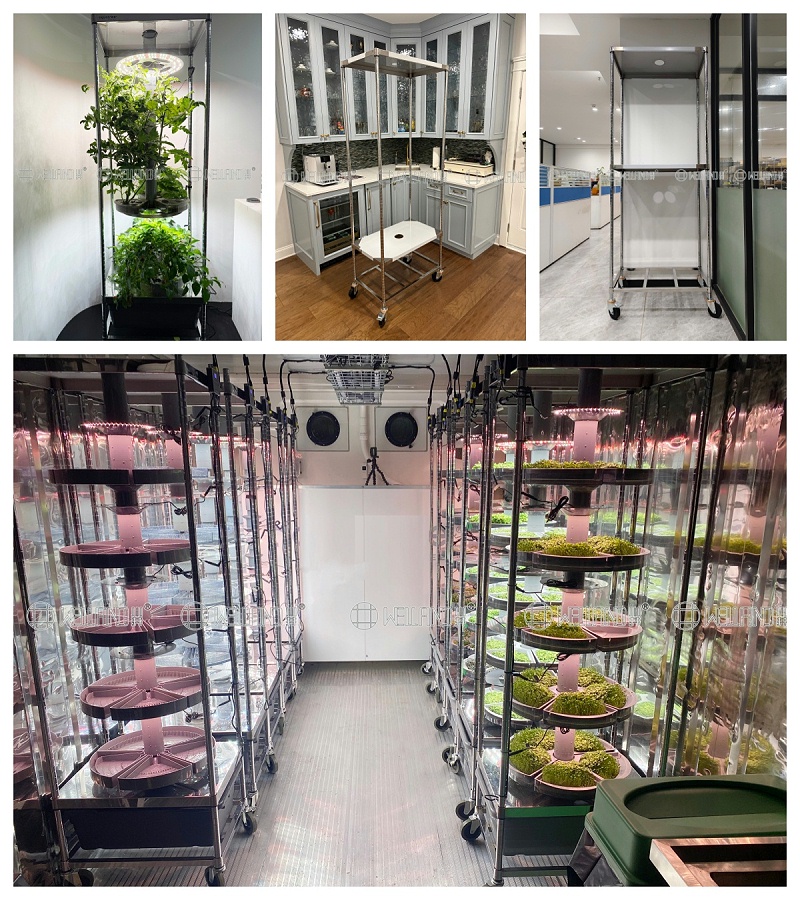 定制不銹鋼溫室種植架，為現(xiàn)代化農(nóng)業(yè)賦能