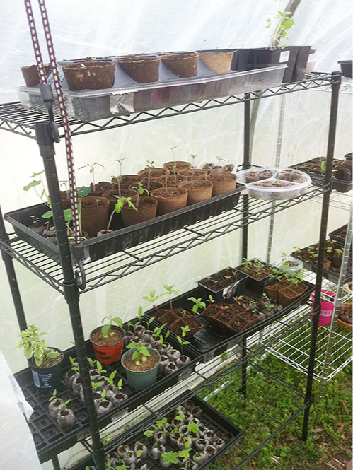 DIY多層園藝培育種植線網(wǎng)貨架 DIY多層園藝培育種植線網(wǎng)貨架